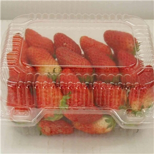 食(shí)品吸塑包裝(zhuāng)應用